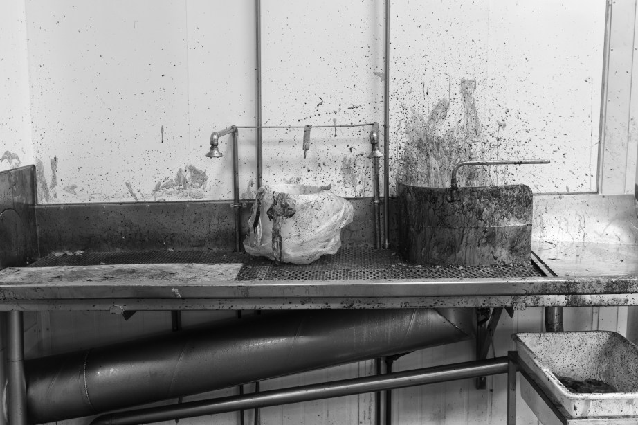 FreezingWorks0007 copy