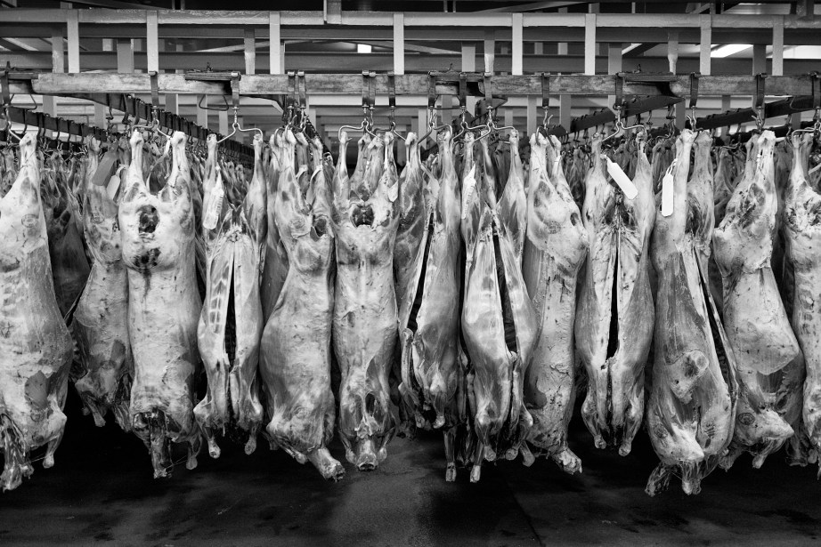 FreezingWorks0024 copy copy