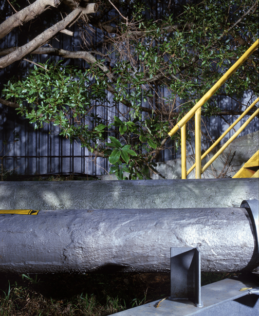 Kaiwaharawhara Stream project