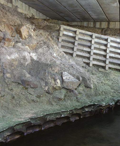 Kaiwaharawhara Stream project