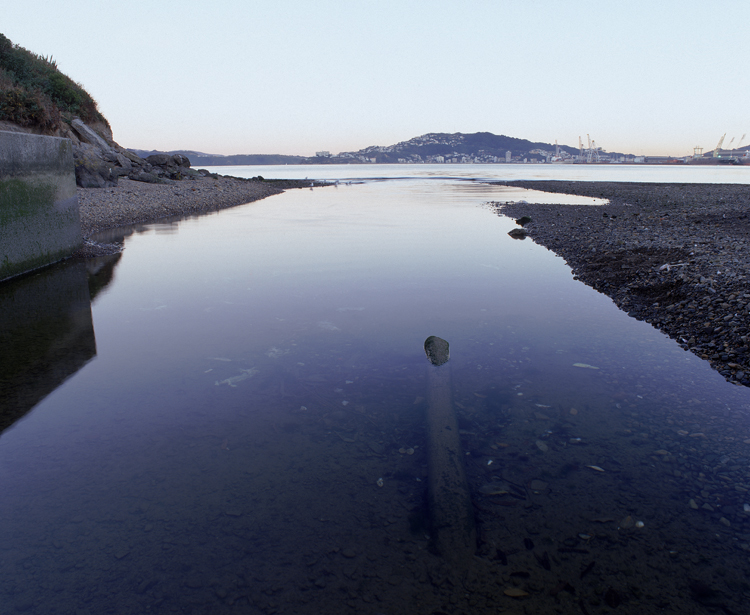 Kaiwaharawhara Stream project